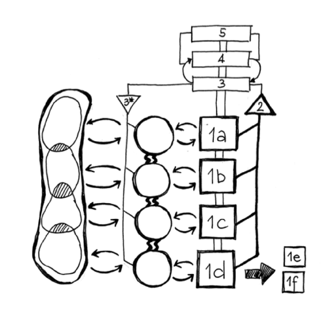 Pathology: Uncontrolled Growth